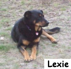 Lexie