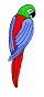 My Parrot My Parrot