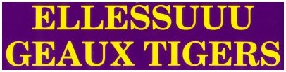 My bumper sticker My bumper sticker