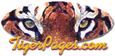 TigerPages.com TigerPages.com