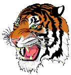Tiger Screensaver Tiger Screensaver