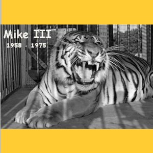MikeT3-RIP.jpg