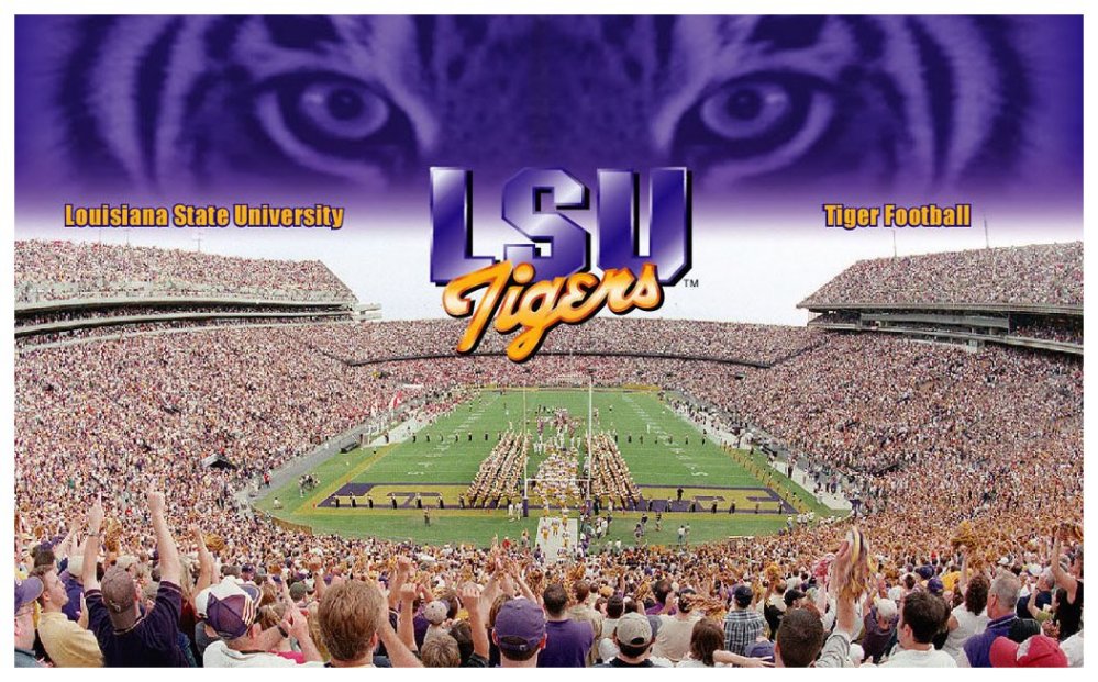 Tiger Eye over Tiger Stadium Tiger Eye over Tiger Stadium